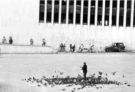 Review your listing review information on this. Imagenes La Toma Al Palacio De Justicia 33 Anos Despues Rcn Radio