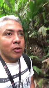 y llegamos cascada la virgen #parquenacionalyacambu. comtinuan las ave...