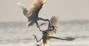 Cactus has partnered with the online french language provider frantastique to bring french to your pc how to say goodbye in different languages 04/12/2020. Cursing Abroad French Insults To Round Out Your Studies