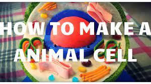 We did not find results for: Smart Idea Candy Plant Cell Project Ideas