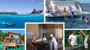 Luxury Travel Advisor - News update
