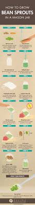 How To Grow Bean Sprouts In A Mason Jar Infographic Aquaponics Aquaponics Diy Hydroponic Gardening