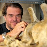 Archosaur evolution during the Jurassic: a southern perspective