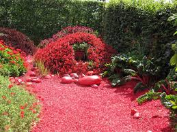 Votre jardinerie animalerie au jardin des plantes, retrouvez toute l'actualité, le blog, les ventes en lignes, les ventes privées et les promotions ! 25 Meilleur Jardin Des Fleurs Horaires