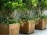 Tree Planters