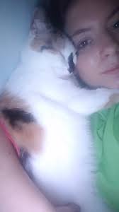 Cant get enough of this sweet girl Silv Silver 1 n Bulldogs dogs