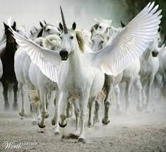 Van de laatste fashion trends tot de mooiste musthaves, cosmetica tips en interieur inspiratie. Flying Unicorns Eenhoorn Dieren Feeen