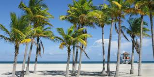 Official greater miami & beaches travel website. Miami Beach Insider Tipps Insider Guide Zu Miami Beach