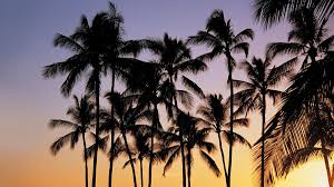 Download this free summer wallpaper tumblr beach 8553 wallpaper in high resolution and use it to brighten your pc desktop, ipad, iphone, android, tablet and every other display. Laptop Summer Aesthetic Wallpapers Wallpaper Cave