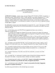 Chance (insula) mrs chance srl: Act Constitutiv Firma Model