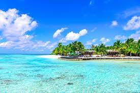 As of the 2010 census, the city'ss population was 983. Expeience The Jamaica Beach At The Fantasy And Beachnut Villa Jamaican Treasures