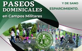 Sedena logo logo icon download svg. Invita Sedena A Paseo Dominical El Heraldo De Chihuahua Noticias Locales Policiacas De Mexico Chihuahua Y El Mundo