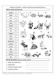 Worksheets On Europe Worksheet Wild Animals From Europe North America Worksheet Animal Worksheets Animals Wild Kindergarten Worksheets