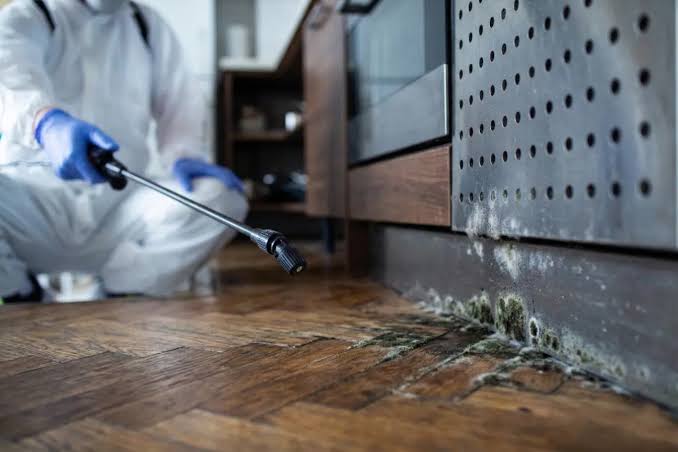 Mould in the Home: 5 Hidden Facts and How to Deal With Them - VBreathe
