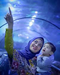 Harga Tiket Masuk Seaworld Ancol 2021 Gambar Jam Buka Pergi ke seaworld dg masa pandemi ini agak mengkhawatirkan tapi ternyata di seaworld protokol kesehatannya sangat ketat. harga tiket masuk seaworld ancol