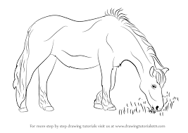 Check spelling or type a new query. Learn How To Draw A Horse Eating Grass Horses Step By Step Drawing Tutorials