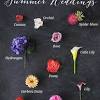 Our most popular indoor plants. 1