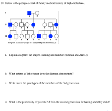 Solved Below Is The Pedigree Chart Of Family Medical Hist