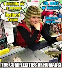 Fastest way to caption a meme. What The Hell Is Wrong With You People Memes Gifs Imgflip