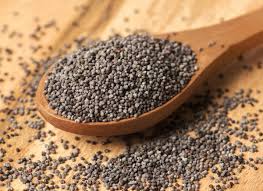 The seed pods are larger and produce more seeds than other opium poppies. Baby Is The Size Of A What Tracking Fetal Development In Pregnancy Weeks 4 40 Fetal Development 30seconds Pregnancy