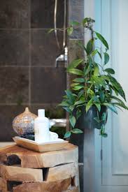Check out this roundup of bathrooms that prove the show plant trend is here to stay, and you'll want to fill your bathroom with plants! Shower Plants Tonkadale