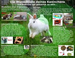 Plakate Kaninchen Kaninchenhaltung Kaninchengehege