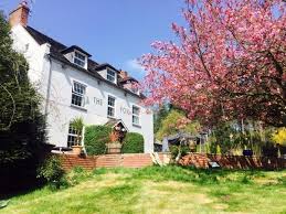 The fox inn is a traditional country dining pub. The Pub Great Food Real Ale And Perfect Surroundings The Fox Inn