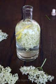 Maybe you would like to learn more about one of these? What Is Elderflower Its Benefits Uses In Food And Medicine Simplybeyondherbs