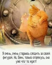 pin by tamara kondratenko on citaty pro zhizn inspirational quotes motivation humor good mood