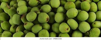 Image result for Sclerocarya birrea