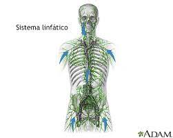 Maybe you would like to learn more about one of these? Linfoma De Hodgkin Medlineplus Enciclopedia Medica