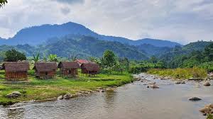 However, it appears that logging might not be the only issue there as there are plans to build two dams in gua musang to mitigate. Chalet Orang Asli Pos Gob Gua Musang Kelantan Keindahan Alam Semulajadi Berlatarbelakangkan Banjaran Titiwangsa Lokasi Percutian