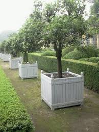 Make a versailles planter yourself. 45 Best Versailles Planters Amp Other Planter Boxes Images Induced Info