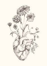 The best selection of royalty free anatomical heart flowers human drawing flower vector art, graphics and stock illustrations. 1000drawings Photo Original Drawing Heart Drawing Drawings
