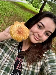 What type of mushroom is found in NE Arkansas with a picture of a toadstool?