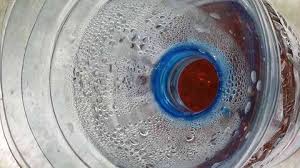 Pi?ges frelons asiatiques avec sardines. Luttez Contre Les Frelons Asiatiques En Construisant Un Piege Selectif Page 2