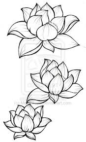 Lotus Flower Tattoo Line Work Lotus Blossom Tattoos Flower Drawing Flower Sketches