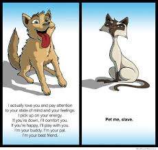 Dogs Are Loving Companions Cats Smell Awful And Will Never Really Love You In 2020 Cat Vs Dog I Love Dogs Cute Animals