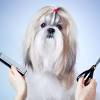 Grooming refers to the things that people do to keep themselves clean and make their face. Https Encrypted Tbn0 Gstatic Com Images Q Tbn And9gcrzp2hgvgwzidbmmugl2bu6mf6p10utwwp0paid8wvz9p0wh8vt Usqp Cau