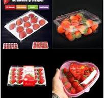 Pet Blister Plastic Clamshell Fruit Packing Box with Hinged ...