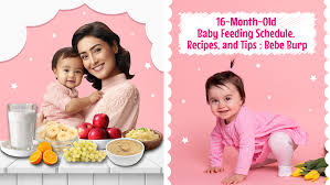 16-Month-Old Baby Feeding Schedule: Meal Ideas & Healthy Food Guide