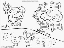 Mewarnai gambar ayam jago gambar hewan warna kartun. 99 Gambar Animasi Binatang Ayam Gratis Cikimm Com