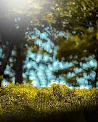 Instagra Blur Cb Background For Photo Editing 2021 Background Hd Cbeditz Com In 2021 Dslr Background Images Best Background Images Blur Background Photography