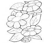 Nishikidôri épicerie fine japonaise la plus belle vitrine des meilleurs artisans du japon respectueux des méthodes ancestrales. Coloriage Sakura Fleurs Japonaise Dessin Fleurs A Imprimer