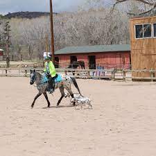 Request information from other similar providers. Air Force Academy Stables Colorado City 2021 All You Need To Know Before You Go With Photos Tripadvisor