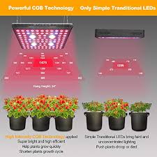 Offers & discounts to your inbox. Aglex Cob 2000 Watt Led Grow Light Full Spectrum Plant Grow Lamp With Daisy Chain Veg And Bloom Switch For Hydroponic Greenhouse Indoor Plant Veg And Flower Pricepulse