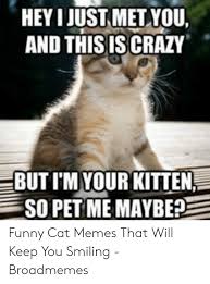 Lift your spirits with funny jokes, trending memes, entertaining gifs, inspiring stories, viral videos, and so much more. Kitten Cat Memes Clean Funny Meme Wall