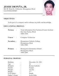 Professionally written and designed resume samples and resume examples. Cv Format Download Professional Cv Template Pdf Job Resume Format Resume Format Examples Job Resume