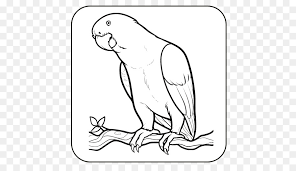 Tutorial ini dimulai dari sketsa dasar berupa kesulitan utama dalam menggambar burung hantu adalah pada kesan bulunya yang cukup rumit. Cara Menggambar Burung Gambar Gambar Png