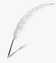 ريشة Feather
